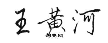 駱恆光王黃河行書個性簽名怎么寫