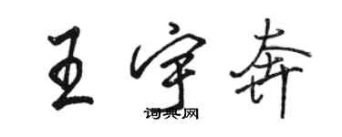 駱恆光王宇奔行書個性簽名怎么寫