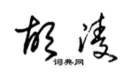 朱錫榮胡凌草書個性簽名怎么寫