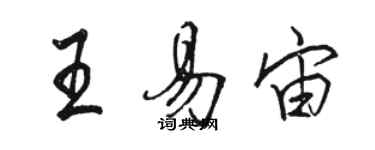 駱恆光王易宙行書個性簽名怎么寫