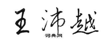 駱恆光王沛越行書個性簽名怎么寫