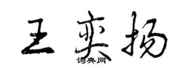 曾慶福王奕揚行書個性簽名怎么寫