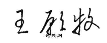 駱恆光王願牧草書個性簽名怎么寫