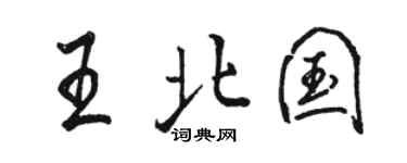 駱恆光王北國行書個性簽名怎么寫