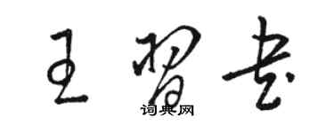 駱恆光王習書草書個性簽名怎么寫