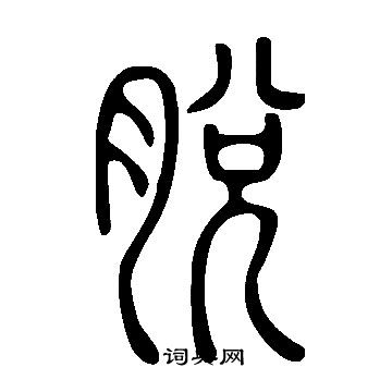 說文解字寫的脫