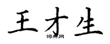 丁謙王才生楷書個性簽名怎么寫