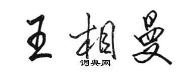 駱恆光王相曼行書個性簽名怎么寫