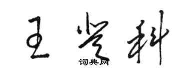 駱恆光王登科草書個性簽名怎么寫