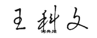 駱恆光王科文草書個性簽名怎么寫