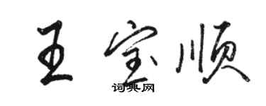 駱恆光王寶順行書個性簽名怎么寫