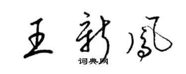 梁錦英王新鳳草書個性簽名怎么寫