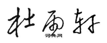 駱恆光杜雨軒草書個性簽名怎么寫