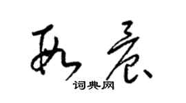 梁錦英段晨草書個性簽名怎么寫