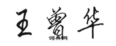 駱恆光王曾華行書個性簽名怎么寫