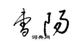 梁錦英曹陽草書個性簽名怎么寫