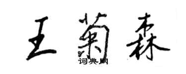 王正良王菊森行書個性簽名怎么寫