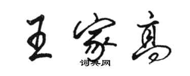 駱恆光王家高行書個性簽名怎么寫