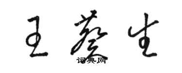 駱恆光王葵生草書個性簽名怎么寫