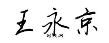 王正良王永京行書個性簽名怎么寫