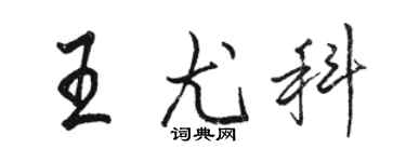 駱恆光王尤科行書個性簽名怎么寫
