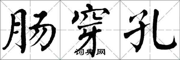 翁闓運腸穿孔楷書怎么寫