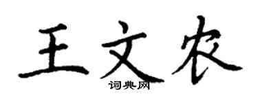 丁謙王文農楷書個性簽名怎么寫