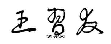 曾慶福王習友草書個性簽名怎么寫