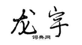 曾慶福龍宇行書個性簽名怎么寫