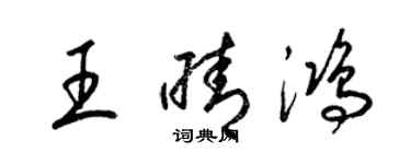 梁錦英王晴鴻草書個性簽名怎么寫