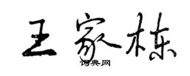 曾慶福王家棟行書個性簽名怎么寫