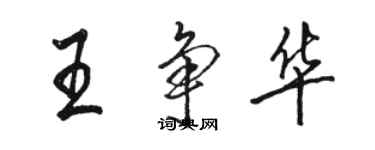 駱恆光王爭華行書個性簽名怎么寫