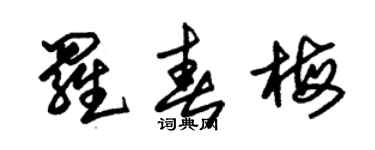 朱錫榮羅春梅草書個性簽名怎么寫