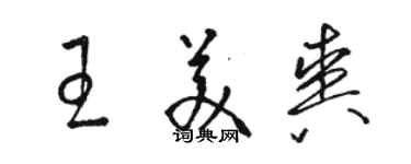 駱恆光王美爽草書個性簽名怎么寫