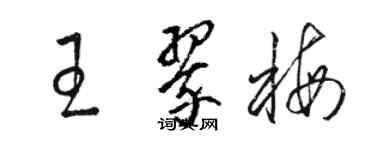 駱恆光王翠梅草書個性簽名怎么寫