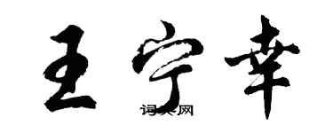 胡問遂王寧幸行書個性簽名怎么寫