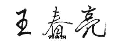 駱恆光王春亮行書個性簽名怎么寫