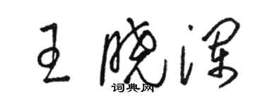 駱恆光王曉瀾草書個性簽名怎么寫