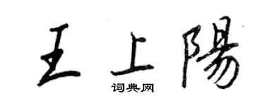 王正良王上陽行書個性簽名怎么寫