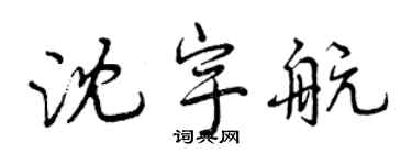 曾慶福沈宇航行書個性簽名怎么寫