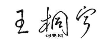 駱恆光王桐寧草書個性簽名怎么寫