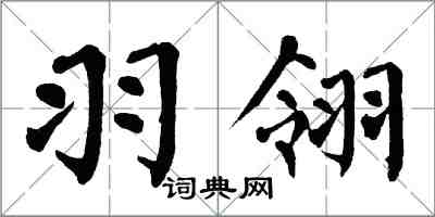 翁闓運羽翎楷書怎么寫