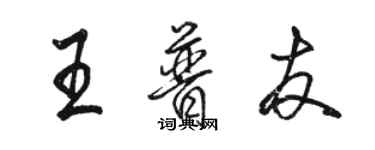 駱恆光王普友行書個性簽名怎么寫