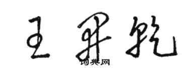 駱恆光王開乾草書個性簽名怎么寫