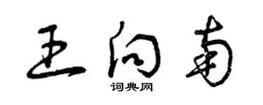 曾慶福王向南草書個性簽名怎么寫