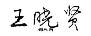 曾慶福王曉賢行書個性簽名怎么寫