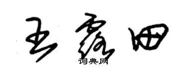 朱錫榮王露田草書個性簽名怎么寫