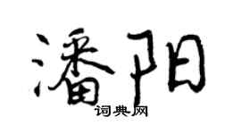 曾慶福潘陽行書個性簽名怎么寫