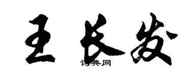 胡問遂王長發行書個性簽名怎么寫