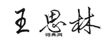 駱恆光王思林行書個性簽名怎么寫